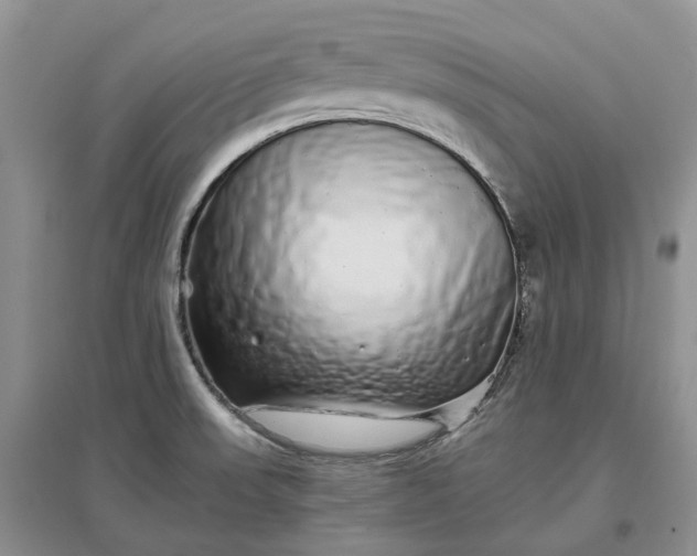 X0000097301523200802291802