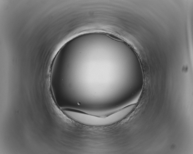 X0000097301524200802291802