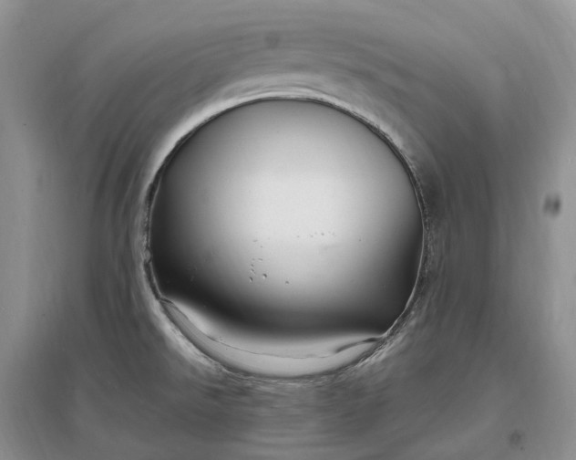 X0000097301526200802291802