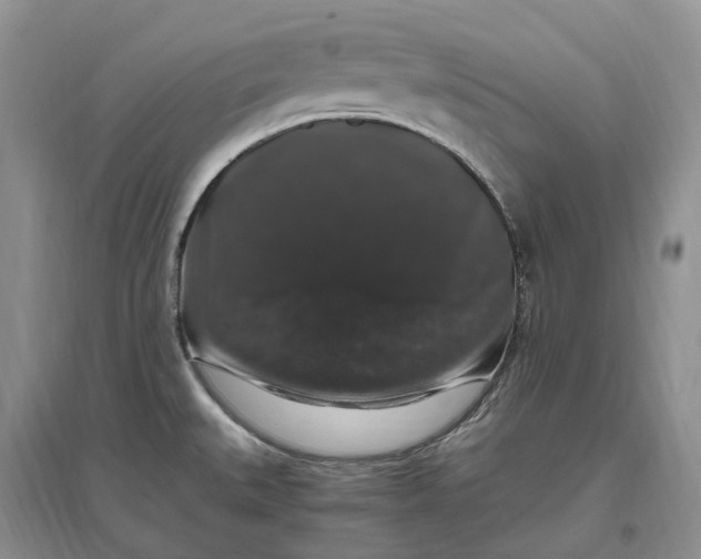 X0000097301527200802291802