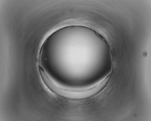 X0000097301528200802291802