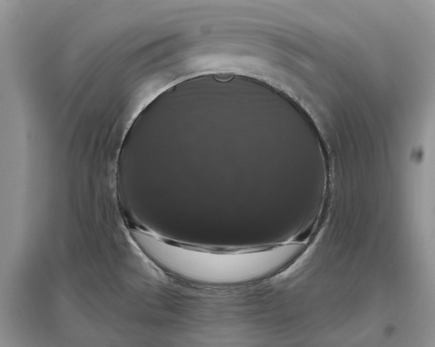 X0000097301529200802291802