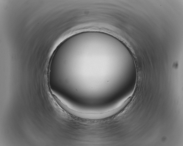 X0000097301530200802291802