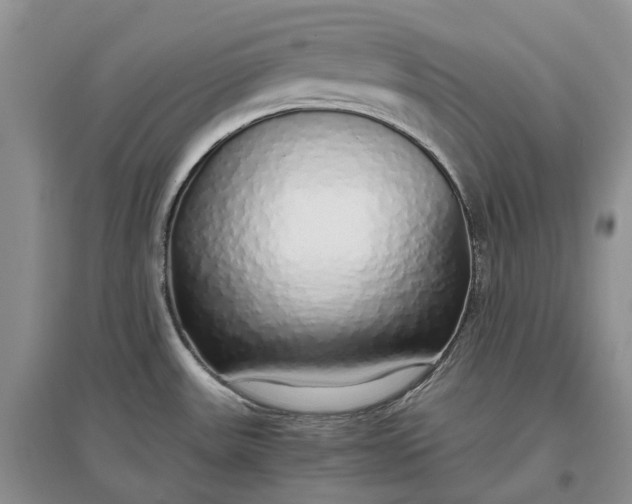 X0000097301531200802291802