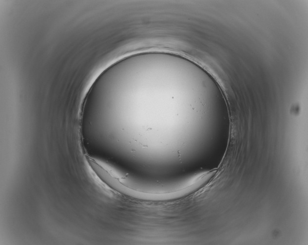 X0000097301532200802291802