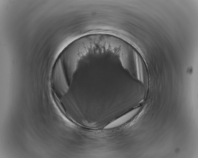 X0000097301533200802291802