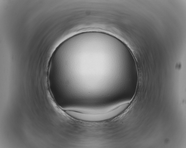 X0000097301534200802291802