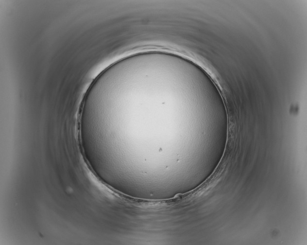 X0000097301535200802291802