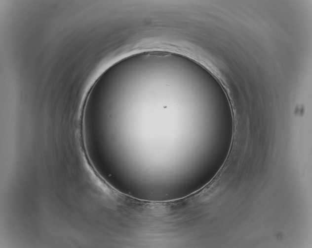 X0000097301536200802291802