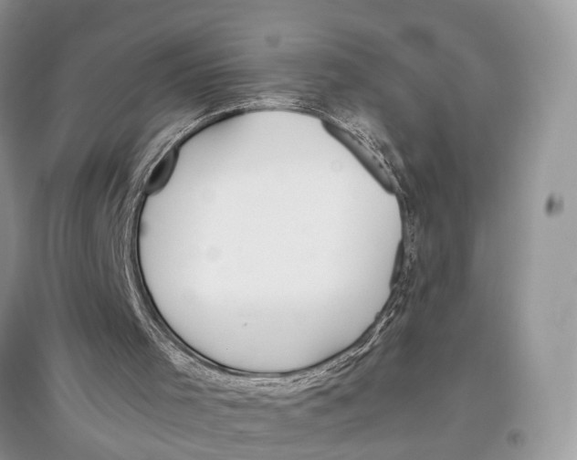 X0000097300001200803071802