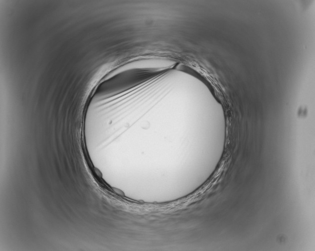 X0000097300003200803071802