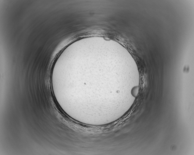 X0000097300004200803071802