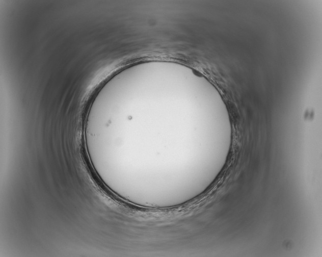 X0000097300005200803071802