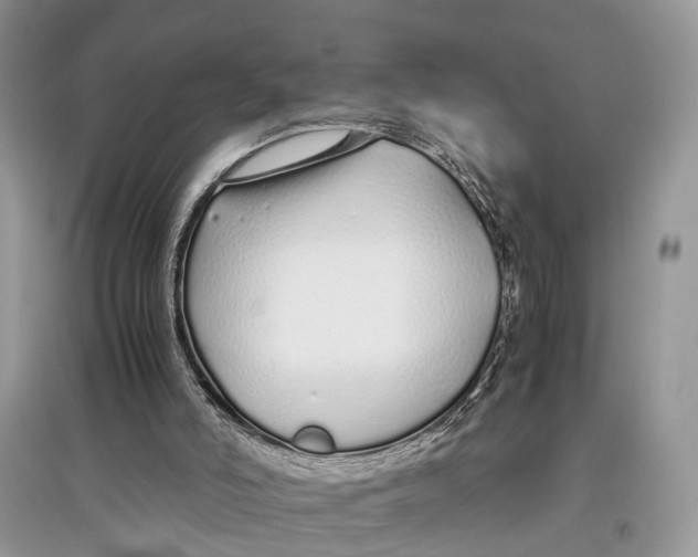 X0000097300006200803071801