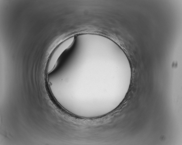 X0000097300007200803071801