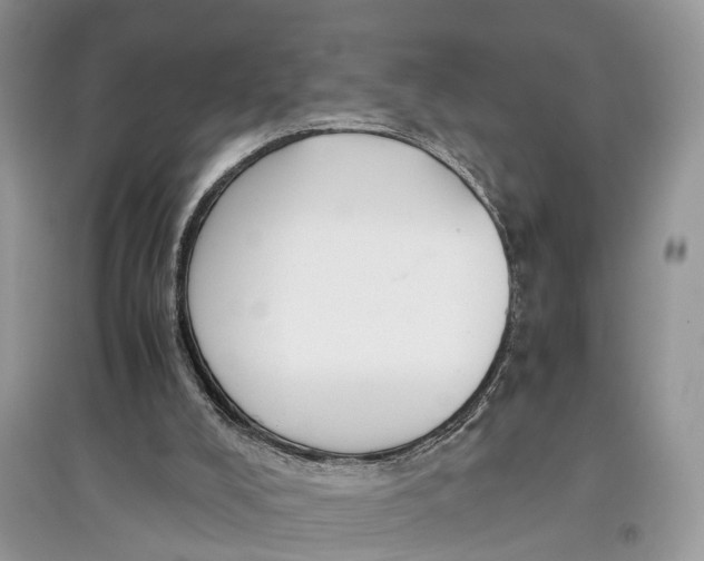 X0000097300008200803071801