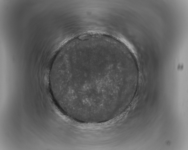 X0000097300009200803071801