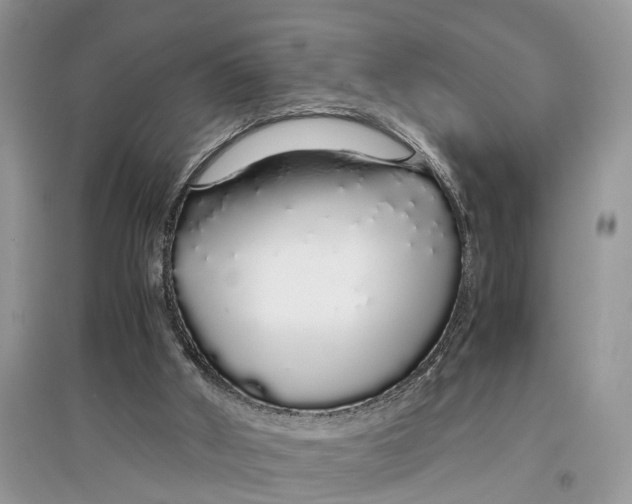 X0000097300010200803071801