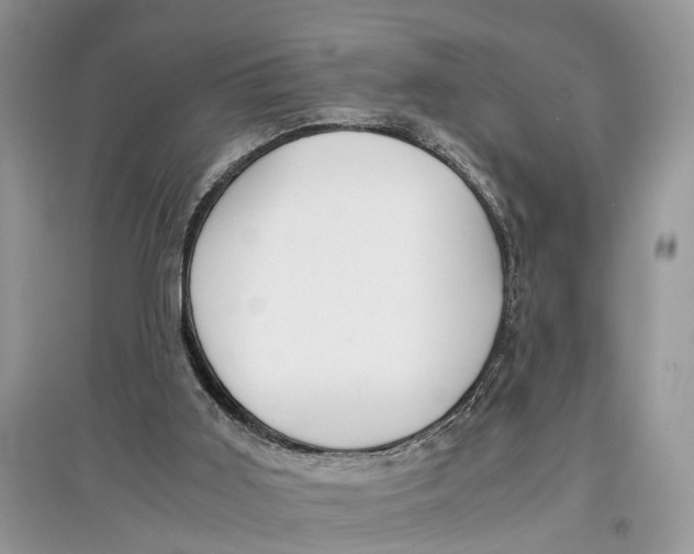 X0000097300011200803071801