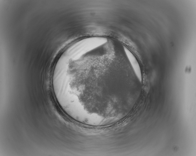 X0000097300012200803071801