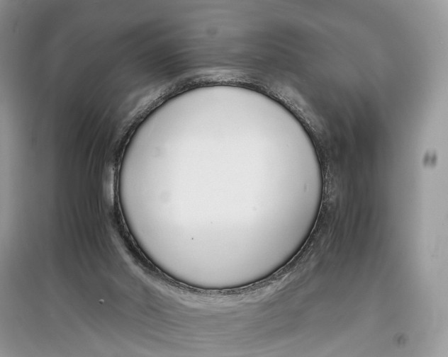 X0000097300014200803071801