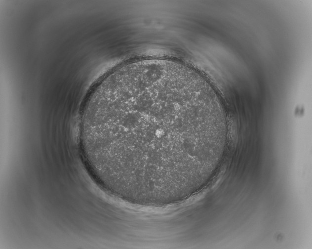 X0000097300016200803071801