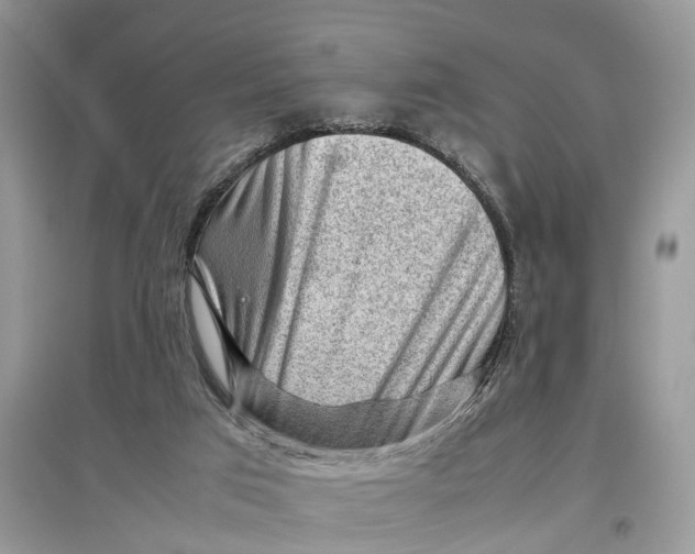 X0000097300017200803071801