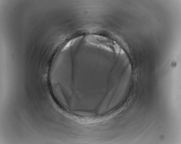 X0000097300018200803071801