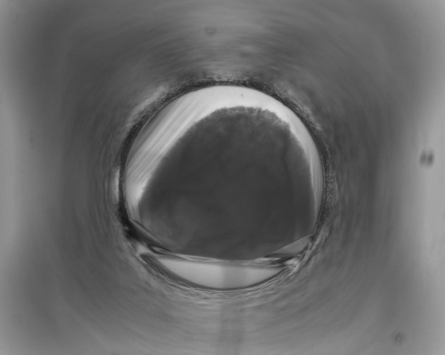 X0000097300019200803071801