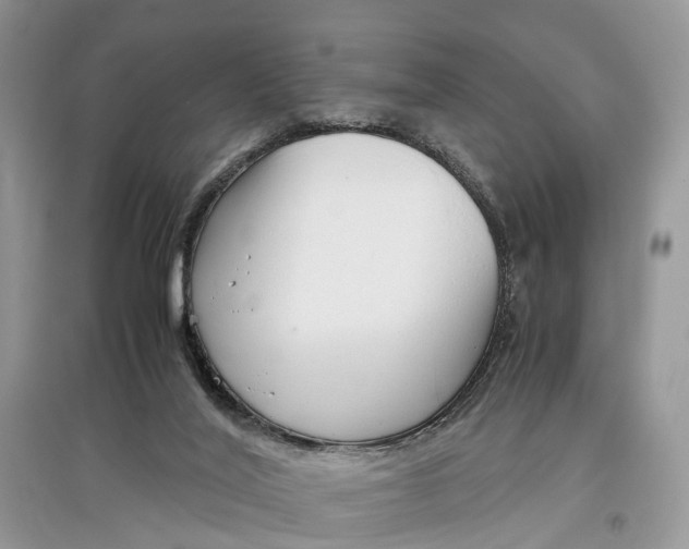 X0000097300020200803071801