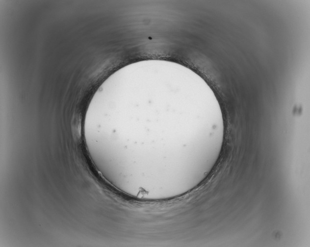 X0000097300021200803071801