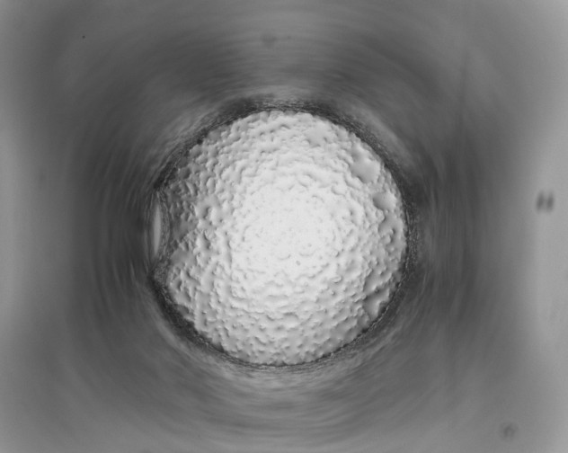 X0000097300022200803071801