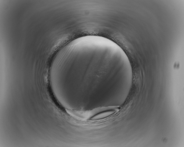 X0000097300023200803071801