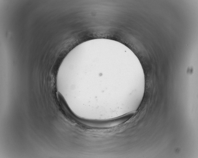 X0000097300025200803071801