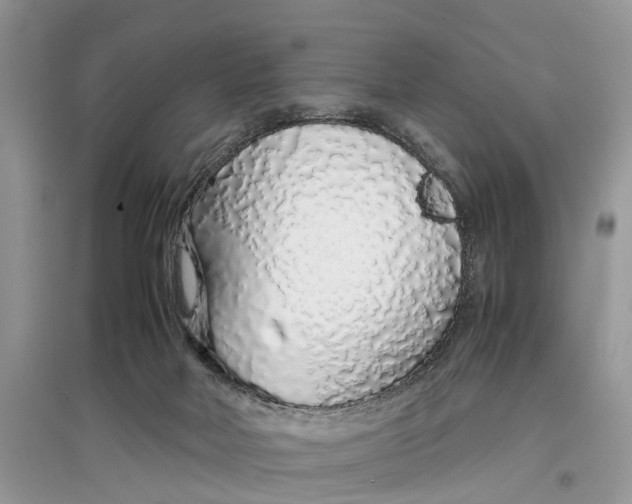 X0000097300026200803071801