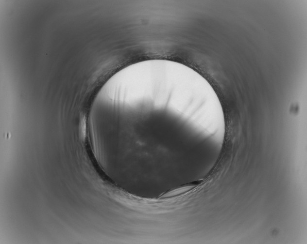 X0000097300027200803071801