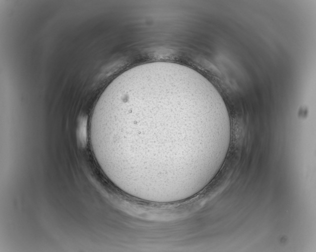 X0000097300028200803071801