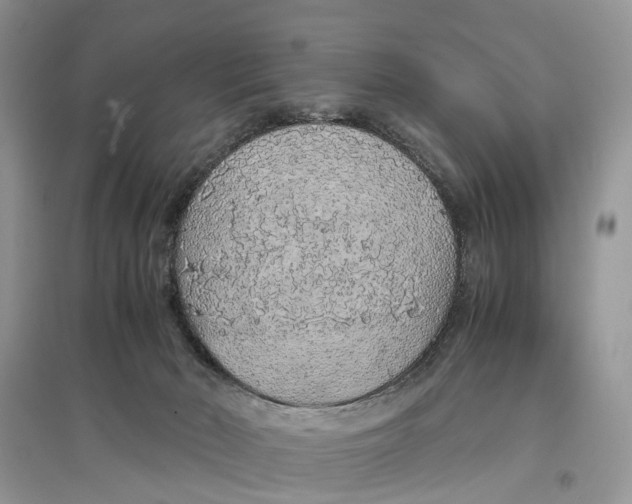 X0000097300030200803071801