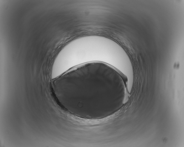 X0000097300031200803071801