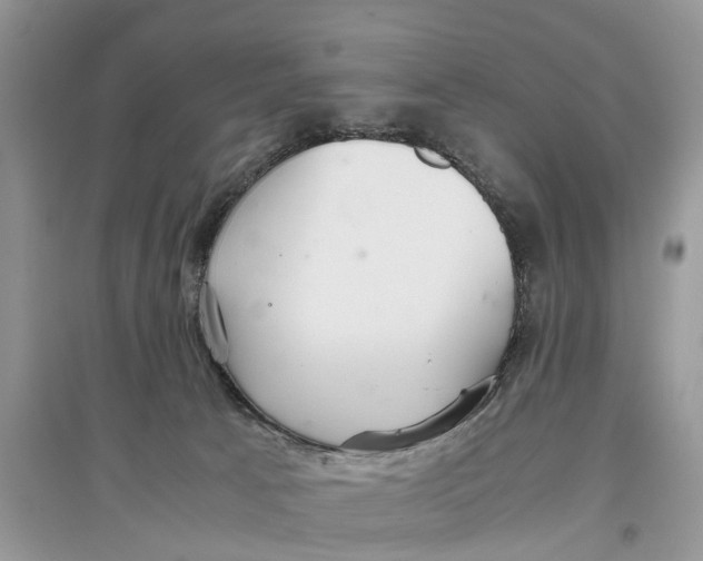 X0000097300033200803071801