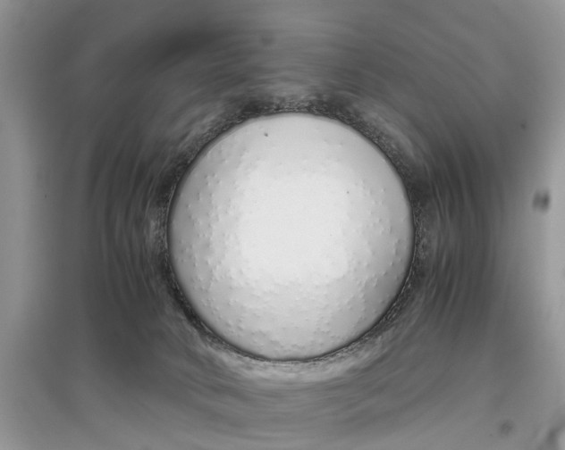 X0000097300034200803071801