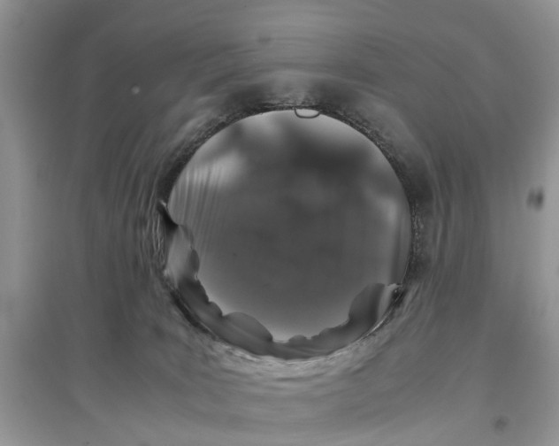 X0000097300035200803071801