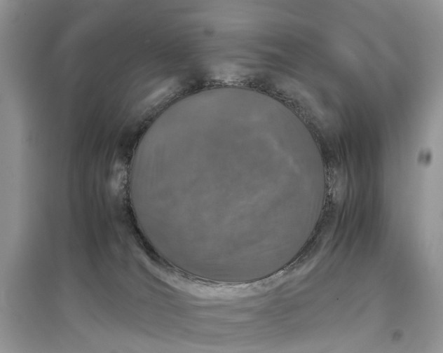 X0000097300036200803071801