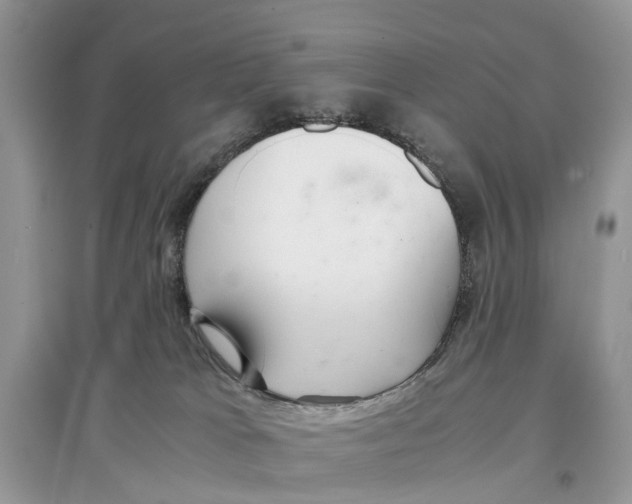 X0000097300037200803071801