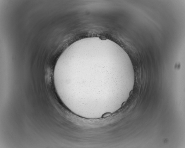 X0000097300038200803071801