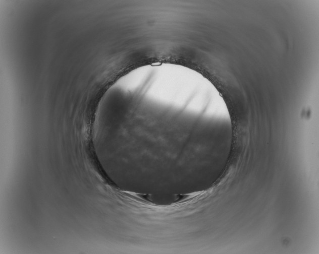 X0000097300039200803071801