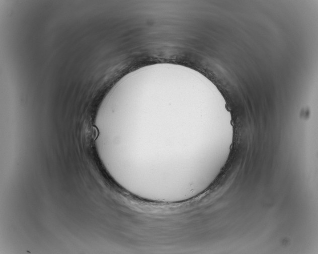 X0000097300040200803071801