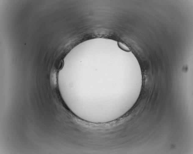 X0000097300042200803071801