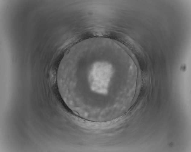 X0000097300043200803071801