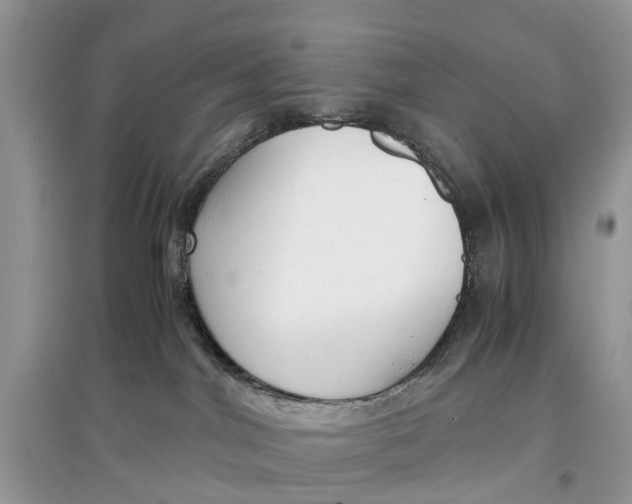 X0000097300044200803071801